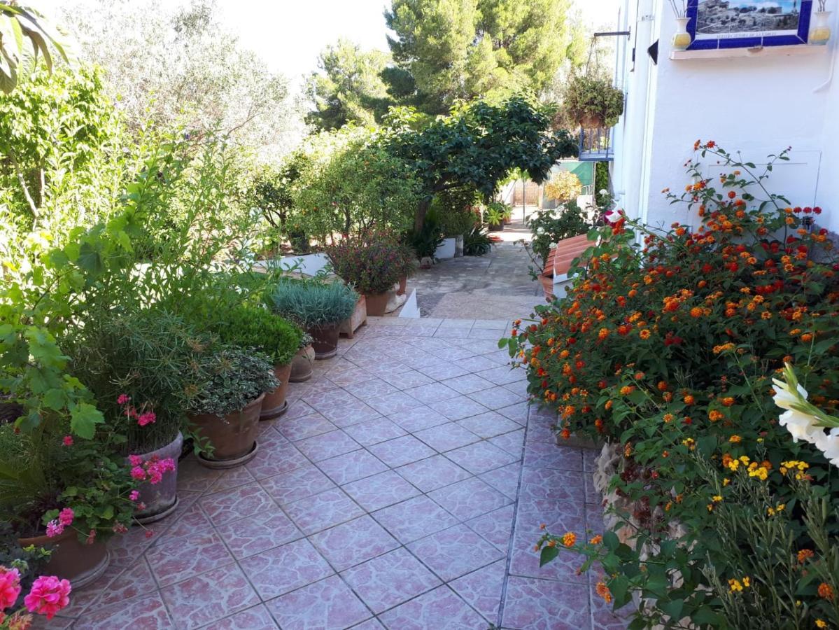 Villa Paradise Private Pool And Garden In A Natural Park For 9 Xabia Bagian luar foto