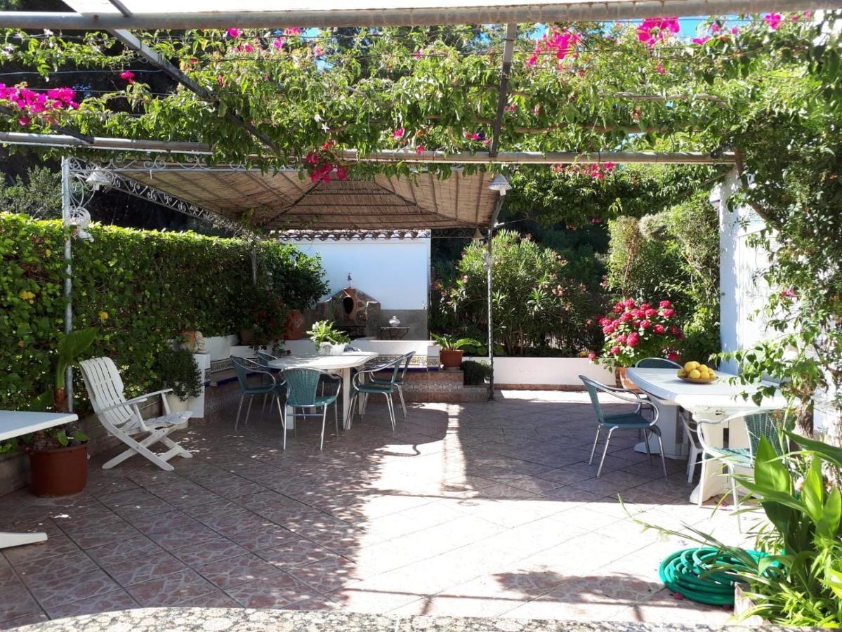 Villa Paradise Private Pool And Garden In A Natural Park For 9 Xabia Bagian luar foto